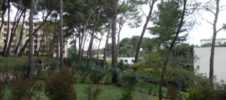 Cannet Rocheville, 3 pièces vue dégagée sur jardin, terrasse, cave et parking Cannet Rocheville, 3 pièces vue dégagée sur jardin, terrasse, cave et parking