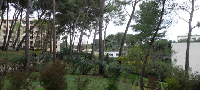 Cannet Rocheville, 3 pièces vue dégagée sur jardin, terrasse, cave et parking Cannet Rocheville, 3 pièces vue dégagée sur jardin, terrasse, cave et parking