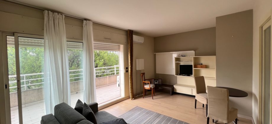 Quartier Montfleury, grand studio meublé, terrasse, parking et cave